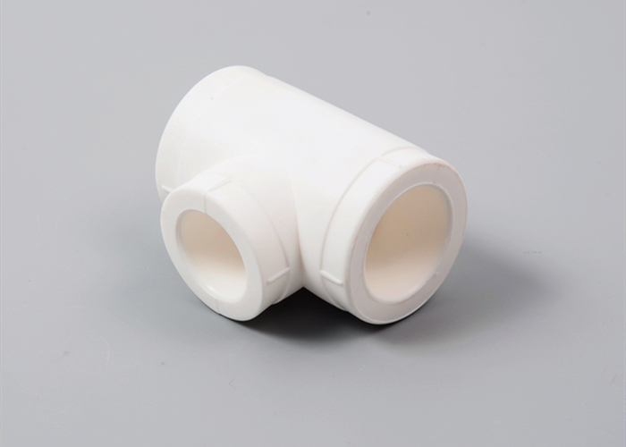 PPR������ͨ